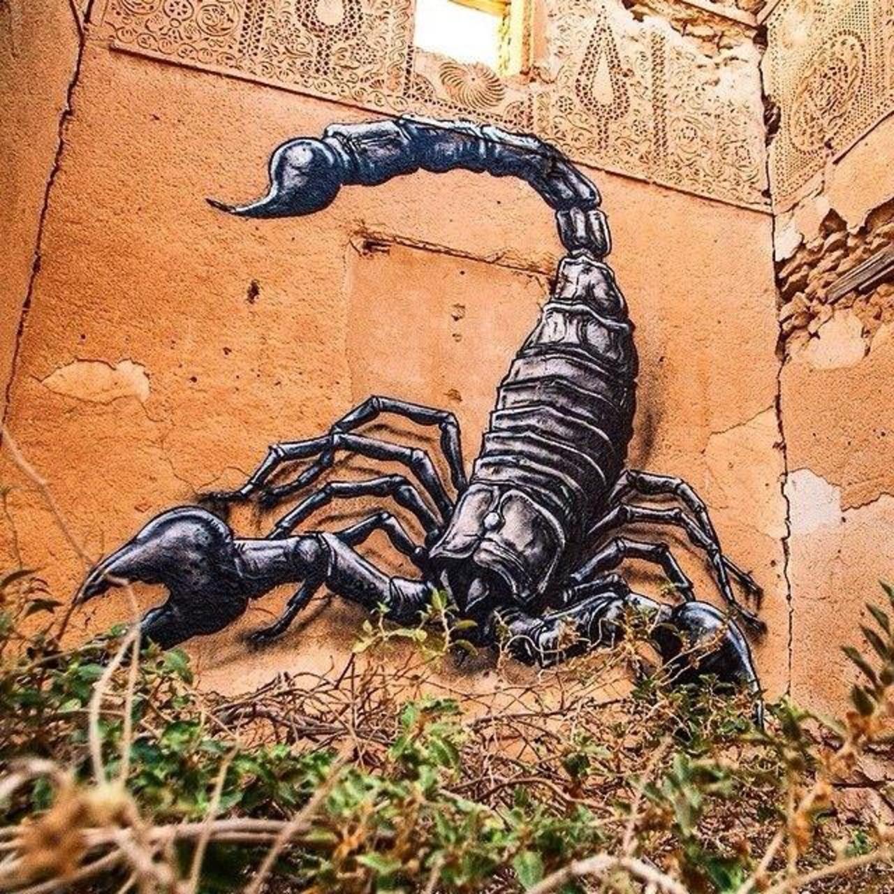 http://ift.tt/1NEBzCX Artist ROA new Scorpion Street Art mural in Djerba, Tunisia #art #graffiti #nature #stree… http://t.co/By50QCSNiQ