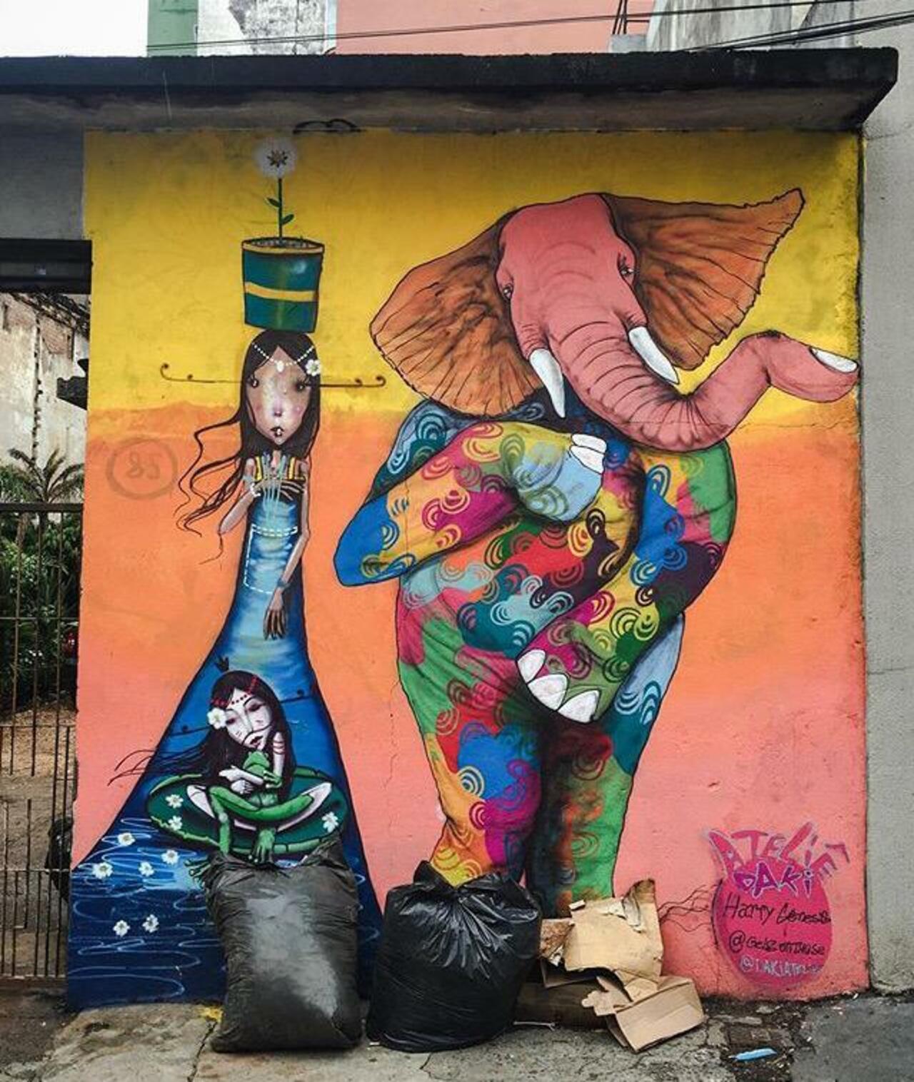 Street Art by Harry Geneis & Gelson in São Paulo 

#art #mural #graffiti #streetart http://t.co/CHYmFKb0WN