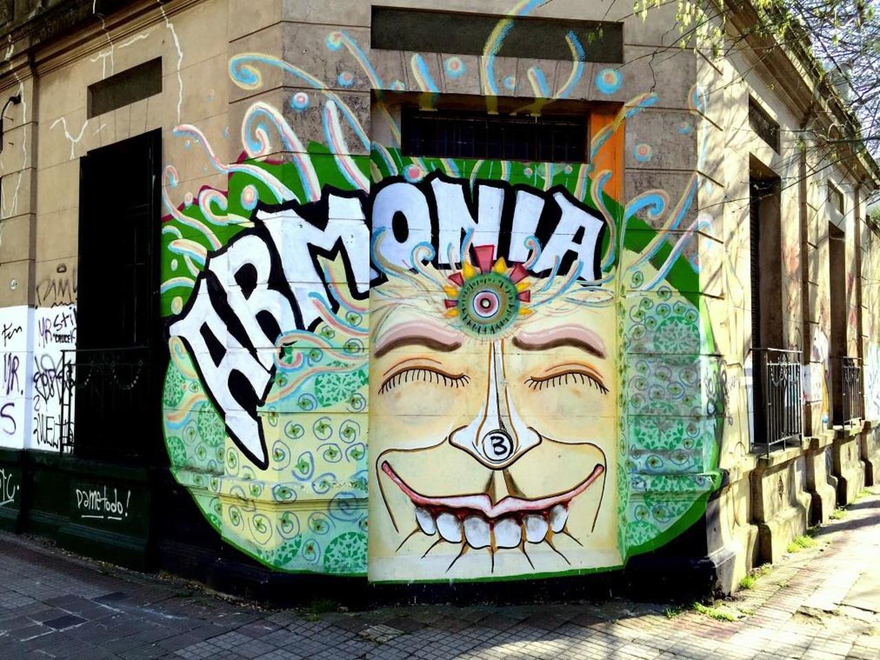 #Graffiti de hoy: << Harmony >> calles 67y6 #LaPlata #Argentina #StreetArt #UrbanArt #ArteUrbano http://t.co/YsALTdMT9m
