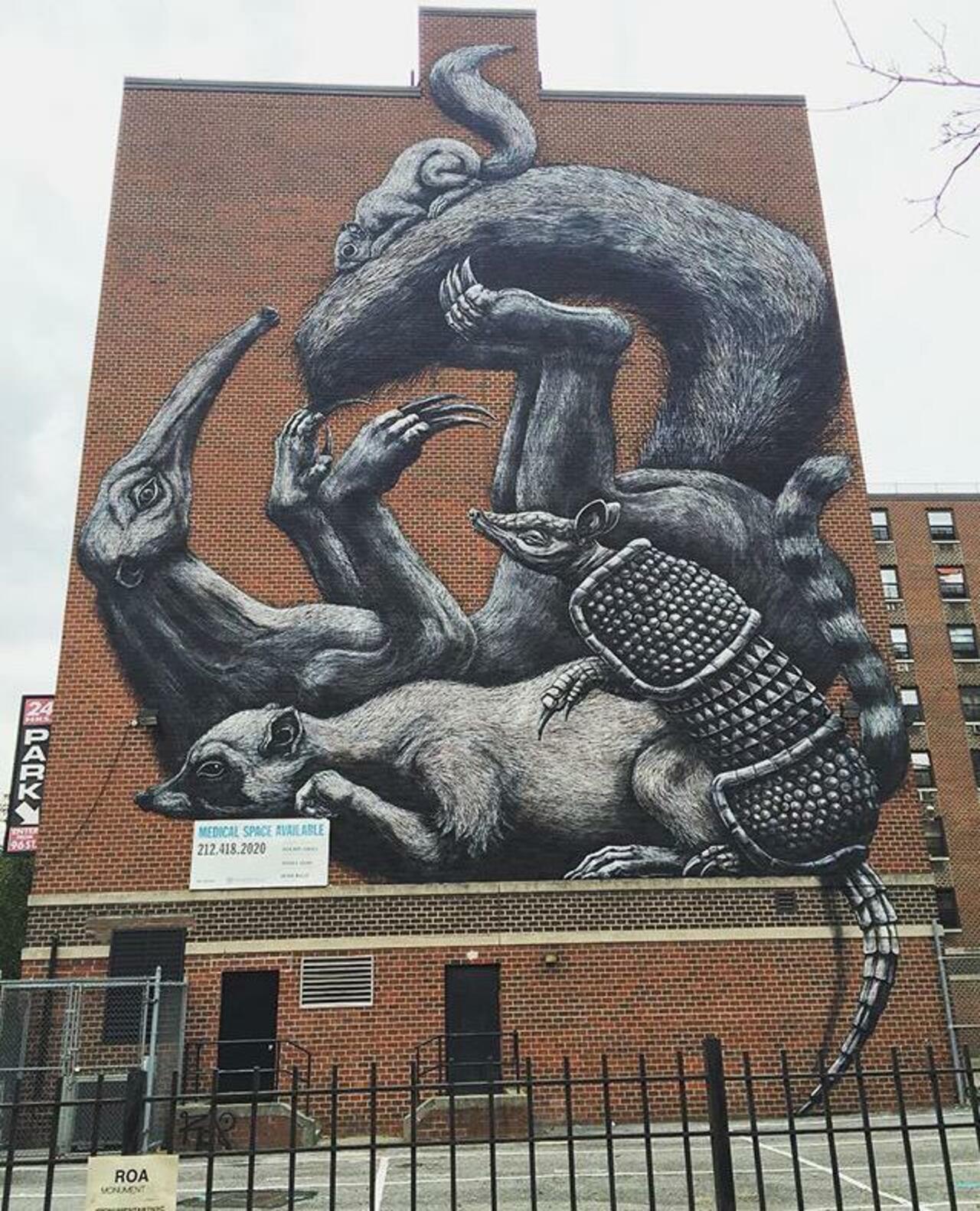 The completed new large scale Street Art wall by ROA in NYC

#art #graffiti #mural #streetart http://t.co/NzBaFzCR0i