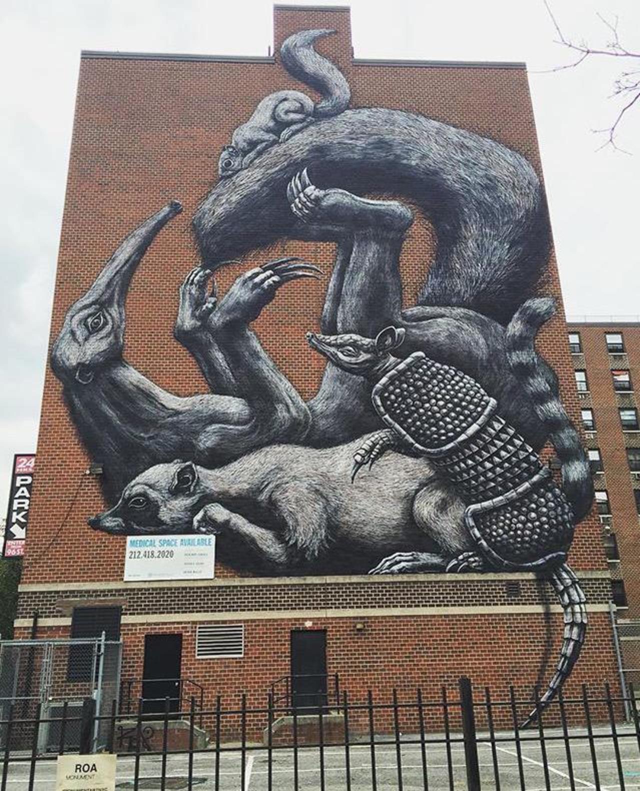 The completed new large scale Street Art wall by ROA in NYC

#art #graffiti #mural #streetart http://t.co/Tx2xS3rYOB