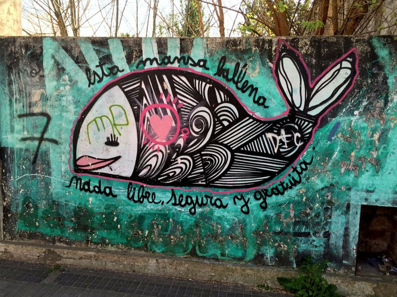 #Graffiti de hoy: « This docile whale swims free, safe and idle...» Calle11 65y66 #LaPlata #Argentina #StreetArt https://t.co/32YlAHXExf