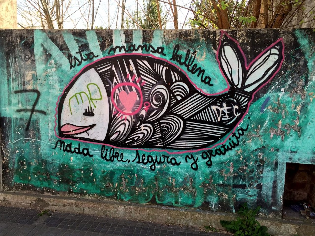 #Graffiti de hoy: « Esta mansa ballena nada libre, segura y gratuita » Calle11 65y66 #LaPlata #Argentina #StreetArt https://t.co/ITO4ib8Hoo