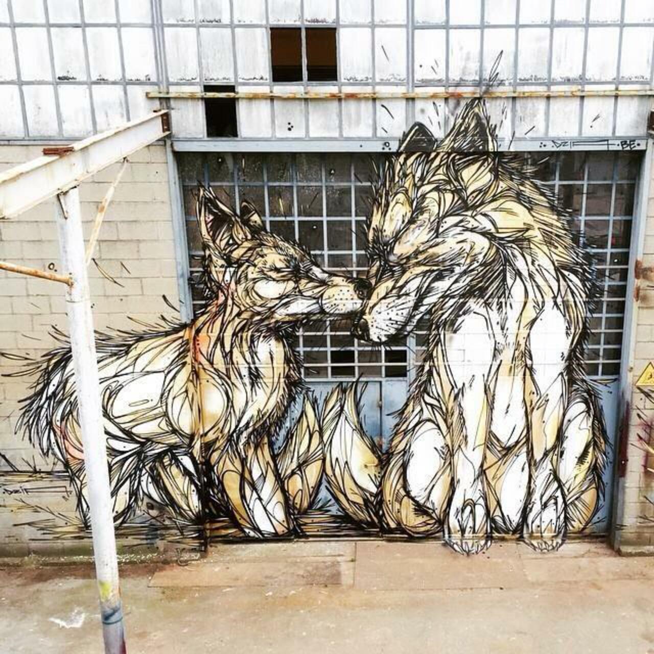 RT ArchaicManor "New Street Art by DZIA titled "Brothers" in Turin, Italy 

#art #arte #graffiti #streetart http://t.co/XRg1NiFmGC yo"