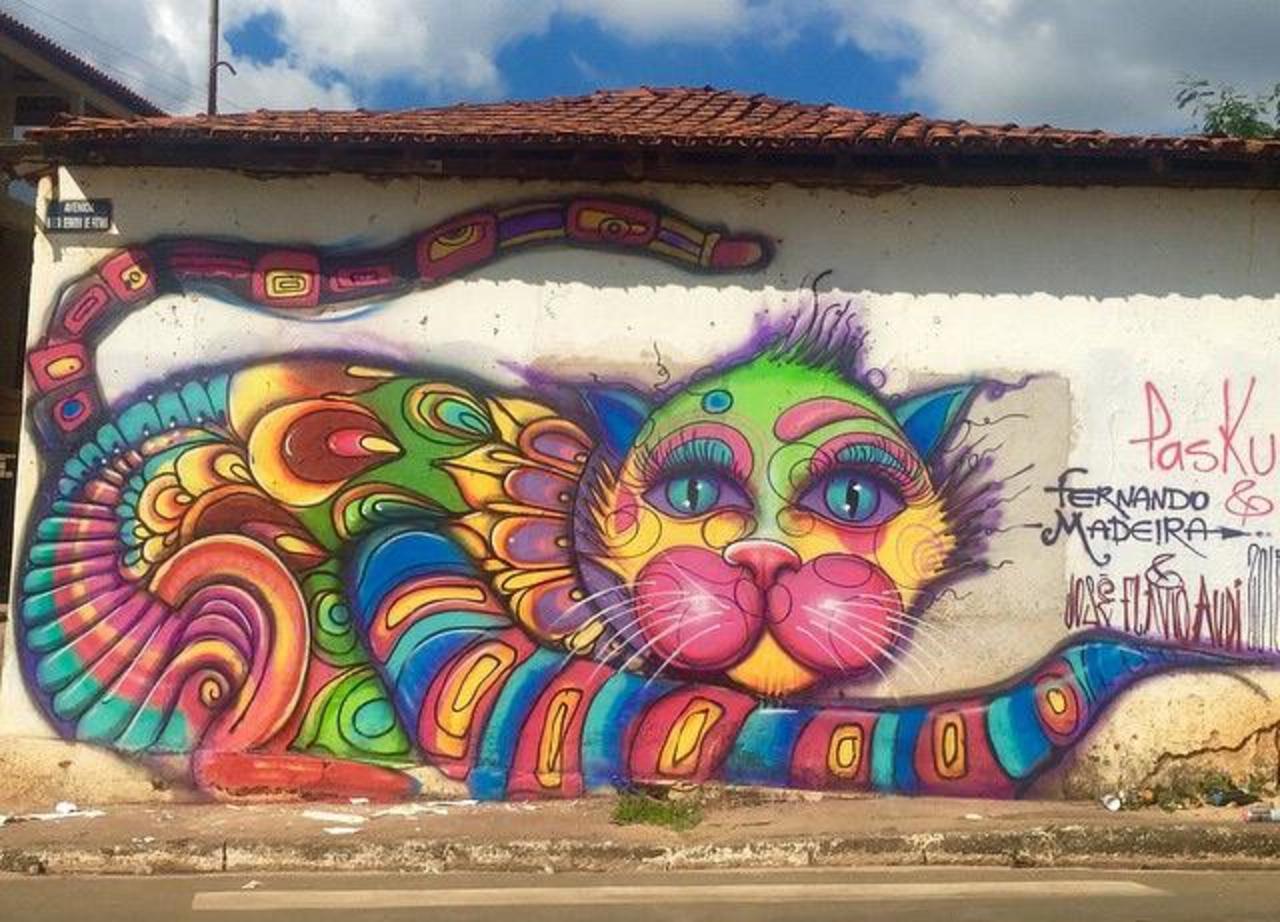 RT ArchaicManor "Street Art by Fernando Maderia 

#art #arte #graffiti #streetart http://t.co/n0mYZqPSoM yo"