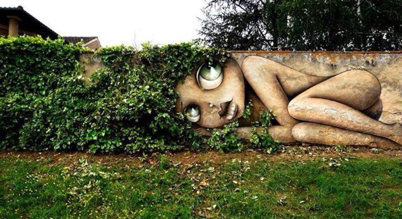When Street Art meets nature by Vinie 

#art #arte #graffiti #streetart http://t.co/xWkHV46QAO