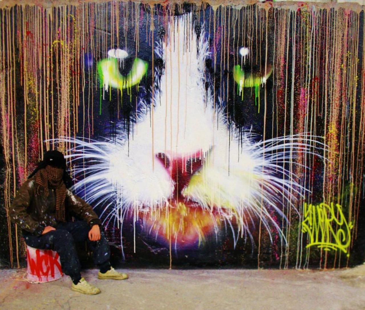 RT @Angelesgmont: Colourful Street Art cat by the artist Averi 

#art #arte #graffiti #streetart http://t.co/qj6J1wIwpT