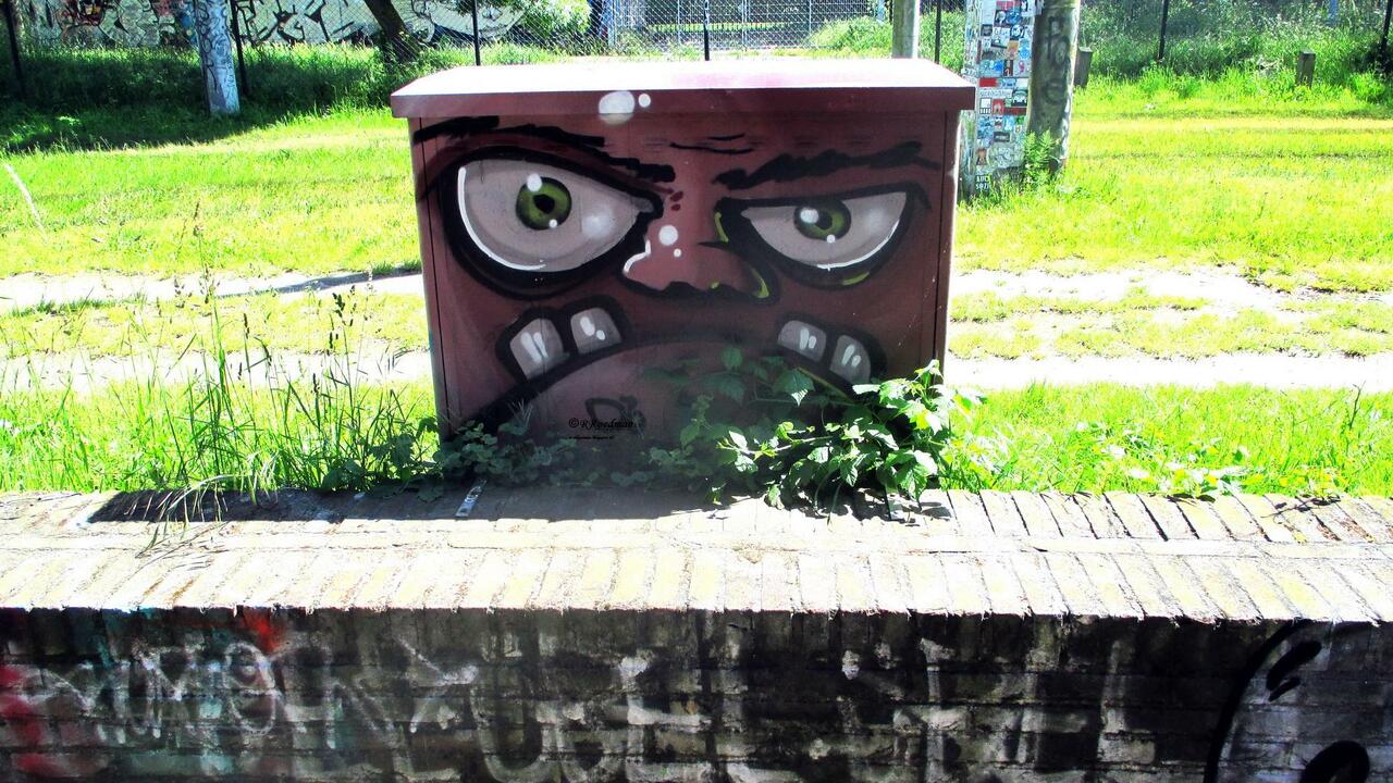 #streetart #graffiti #mural funny face in #Amsterdam, 2 pics at http://wallpaintss.blogspot.nl http://t.co/2aD77XmPBj