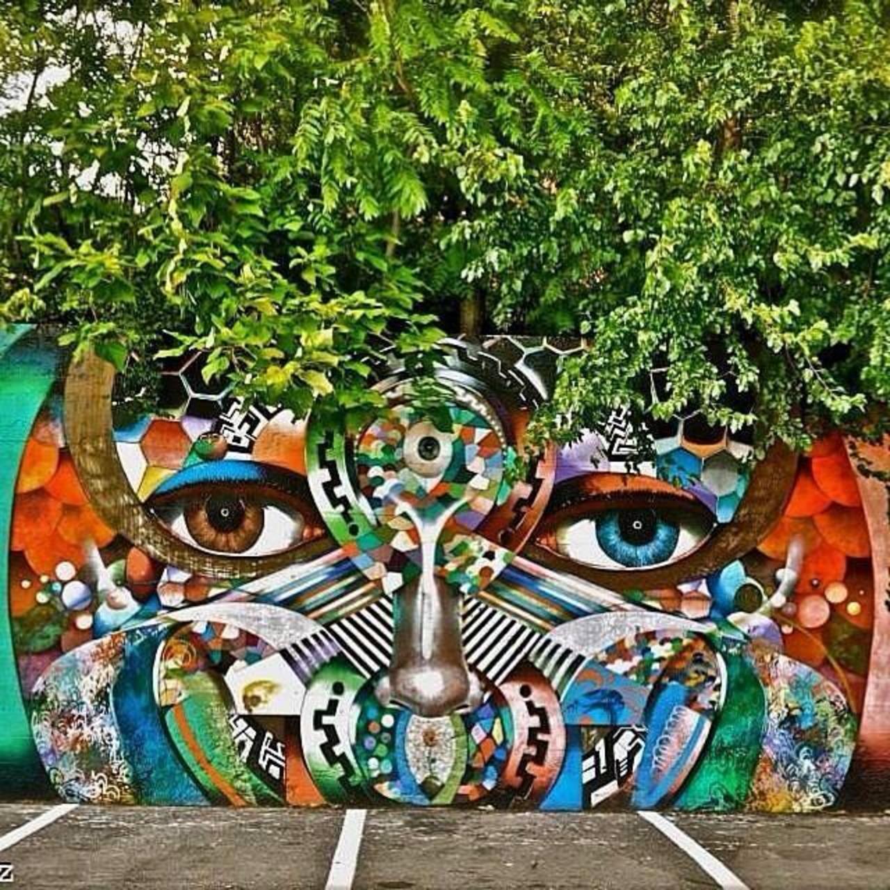 Artist @chorboogie new nature & Street Art piece. #art #mural #graffiti #streetart http://t.co/KdezPU8jBo