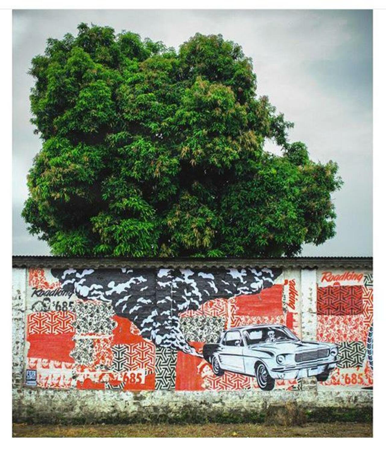 When Street Art meets nature by Ferizuku Kai in Colombia 

#art #arte #graffiti #streetart http://t.co/FFjMfagklV