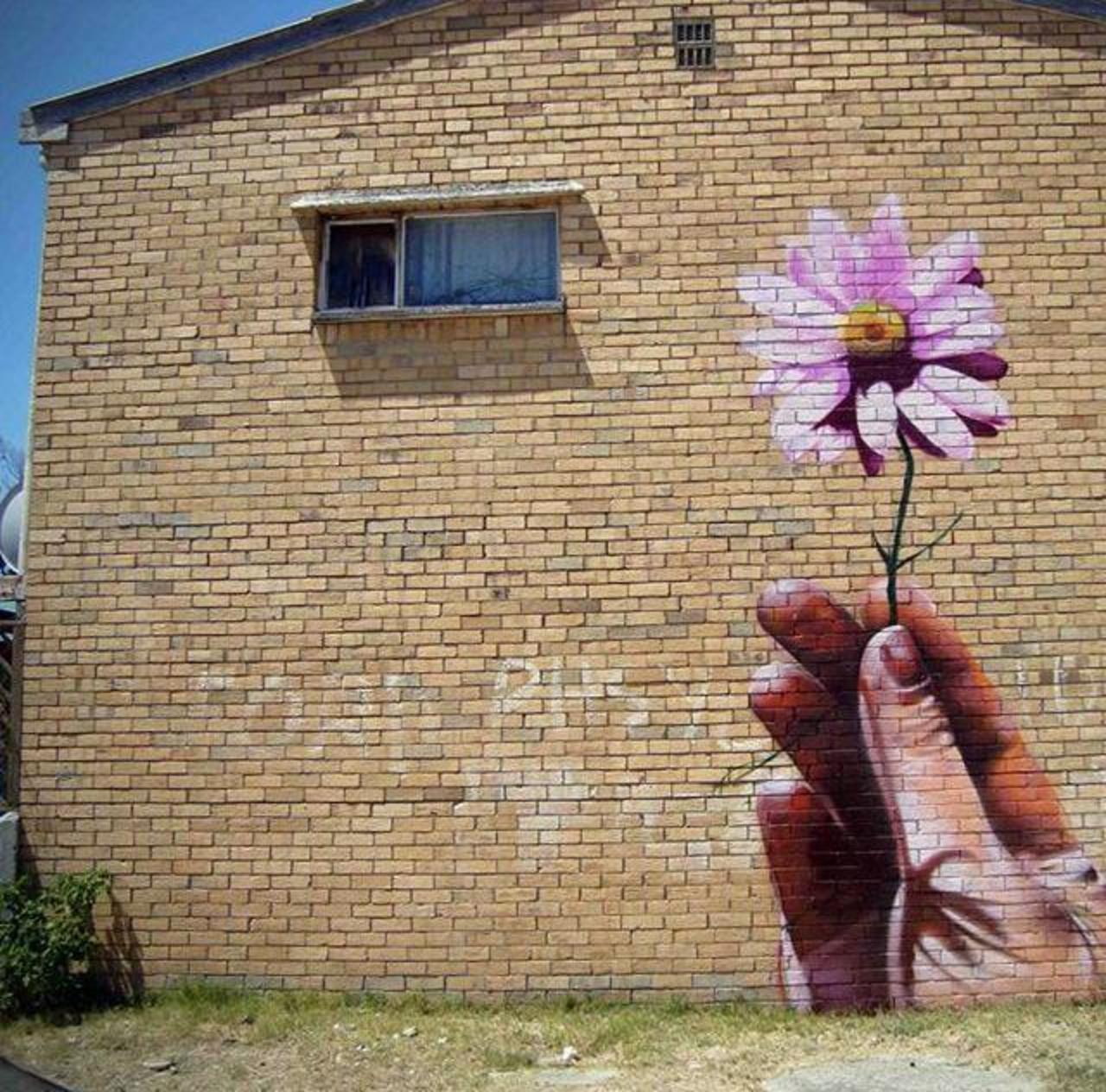 Street Art by Falco in Cape Town 

#art #arte #graffiti #streetart http://t.co/QukxuevBsU
