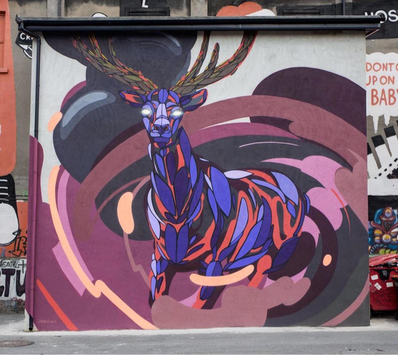 James Earley unveils a series of new pieces in Dublin, Ireland

#streetart #mural #art #graffiti #urbanart http://t.co/Y64TK3ad2J