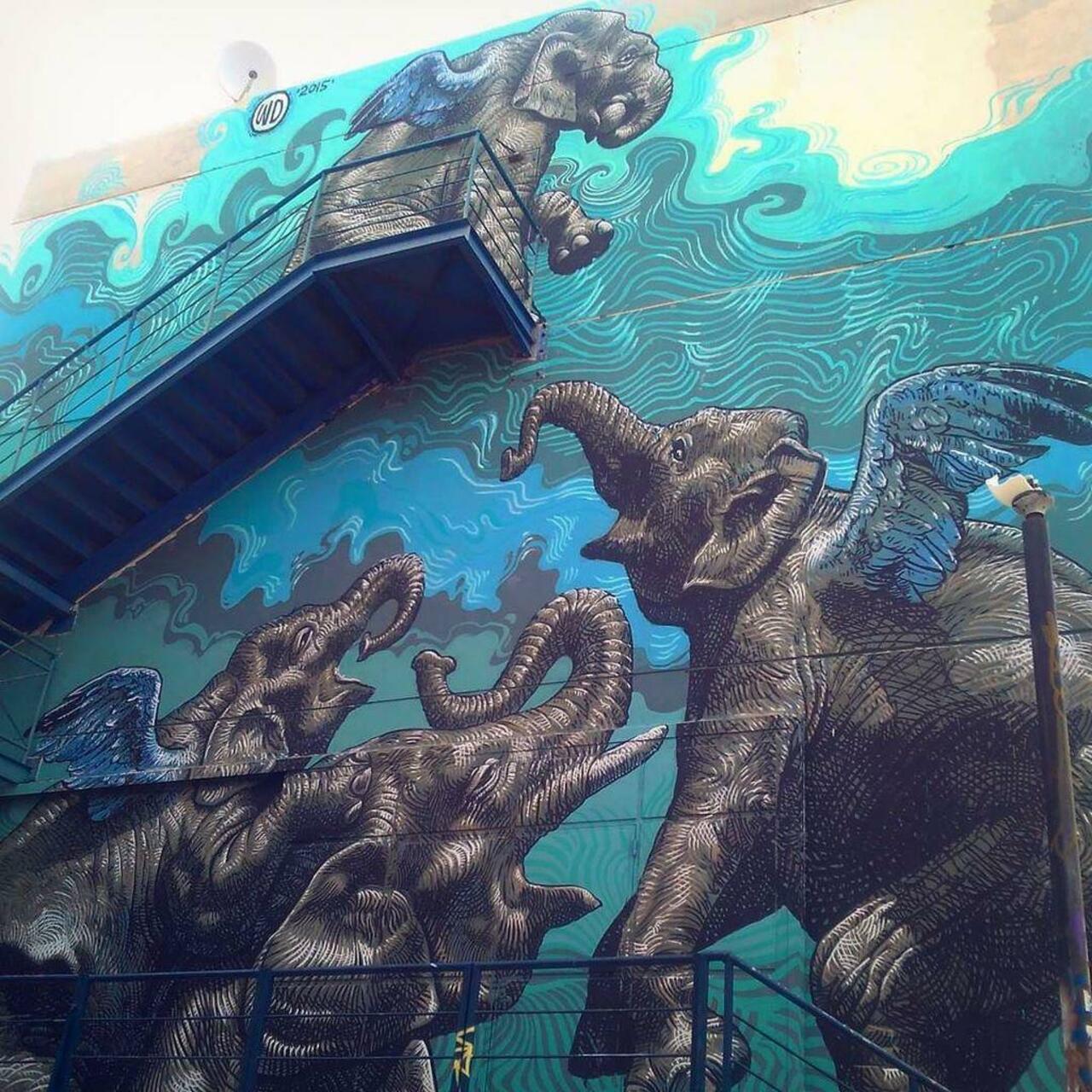 my #athens 
#elephants #flying #graffiti #ntua #stairs #wall #mural by pensiero_st http://ift.tt/1i9Bnhm http://t.co/luCNSx3R62