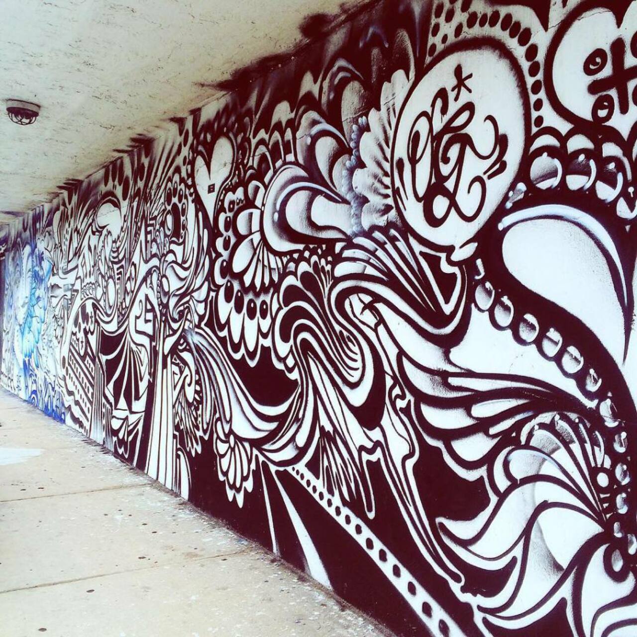 RT @IRUstreetiam: ositodelaselva#wynwood #miami #305#graff #graffiti #graffitiart #graffitiporn#wallart… http://streetiam.com/ositodelaselvawynwood-miami-305graff-graffiti-graffitiart-graffitipornwallart-urbanart-mural-muralsspraypaint-art-streetartstreetarteverywhere/ http://t.co/sbO8muiMZd