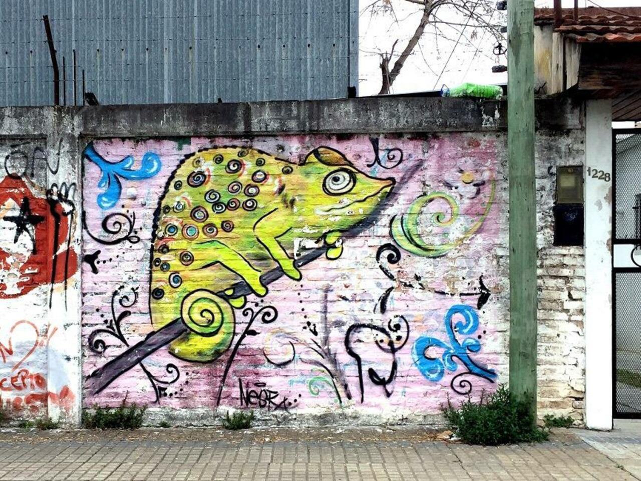 RT @DickieRandrup: #Graffiti de hoy: << Yellow iguana >> calle 45 19y20 #LaPlata #Argentina #StreetArt #UrbanArt #ArteUrbano http://t.co/DNORKxHexf