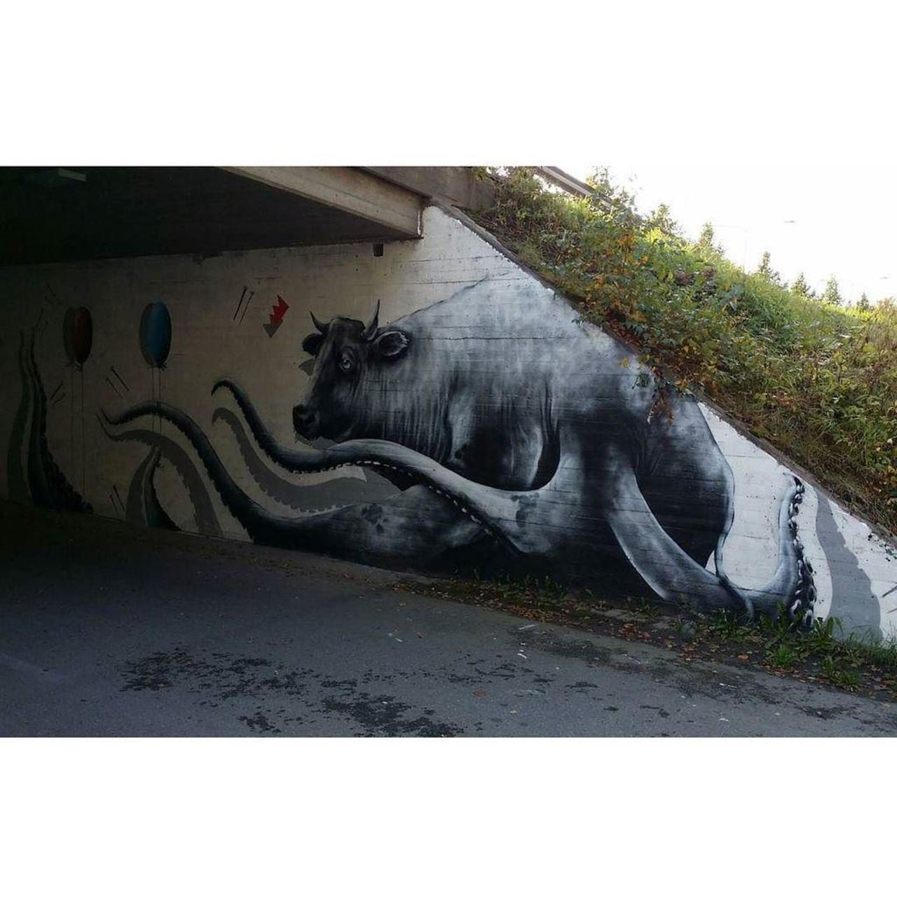 Stas Bags, 2015.

#graffiti #graff #graffporn #graffitiporn #streetart #streetartworldwide… http://ift.tt/1Vl3A1s http://t.co/zZAkcLKmtZ