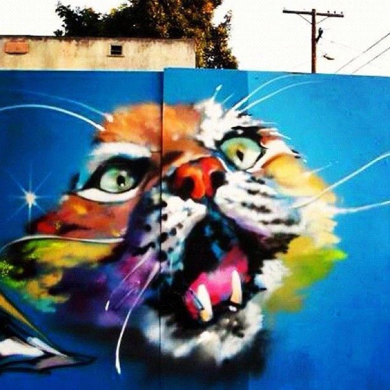 Rainbow Tiger  • #streetart #graffiti #art #tiger #funky #dope . : http://t.co/f5eHwSYgc5