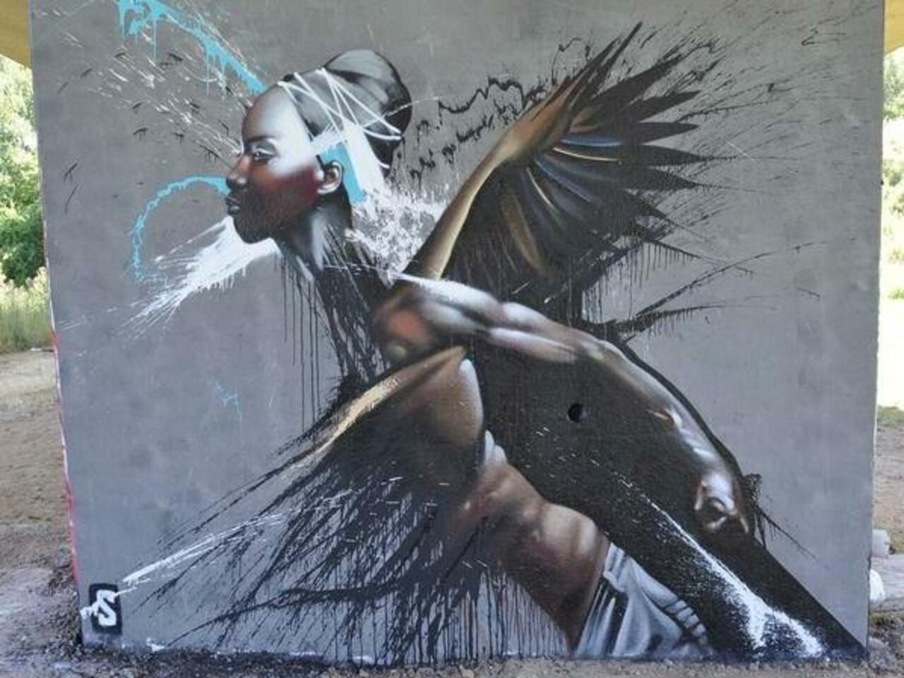 RT @5putnik1: Afro Phoenix  • #streetart #graffiti #art #afromental #funky #dope . : http://t.co/pfkDXUa6xv