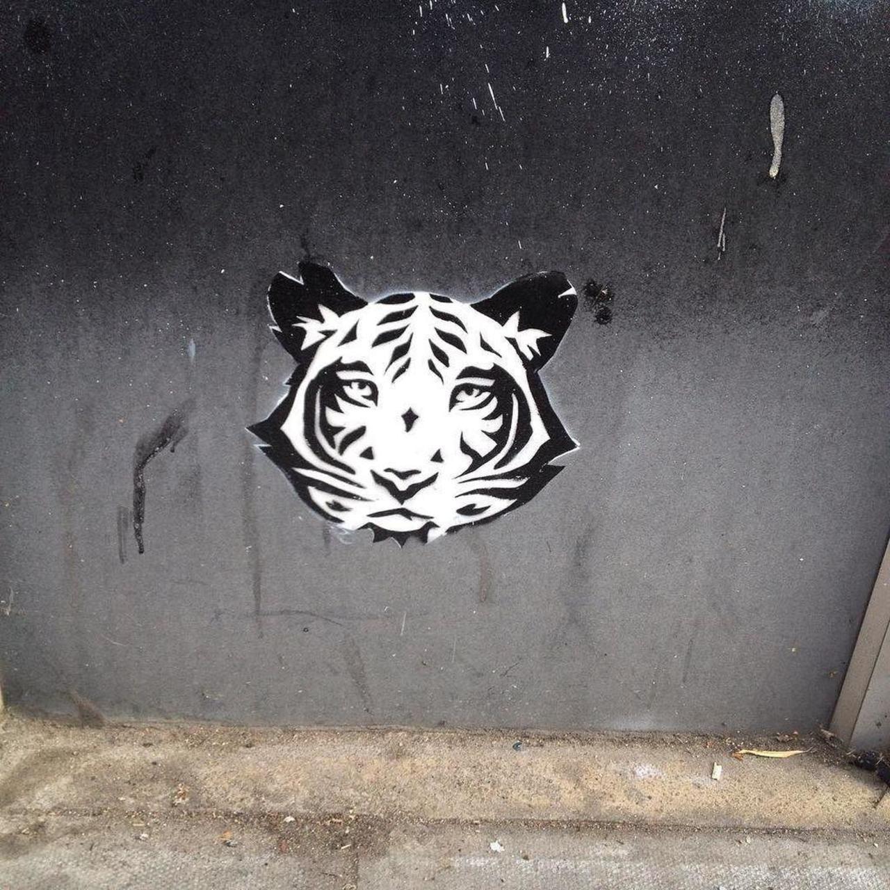 Tiger.  #streetart #graffiti #streetartlondon #london #thisislondon by isadarko http://t.co/prMiyHYCZS