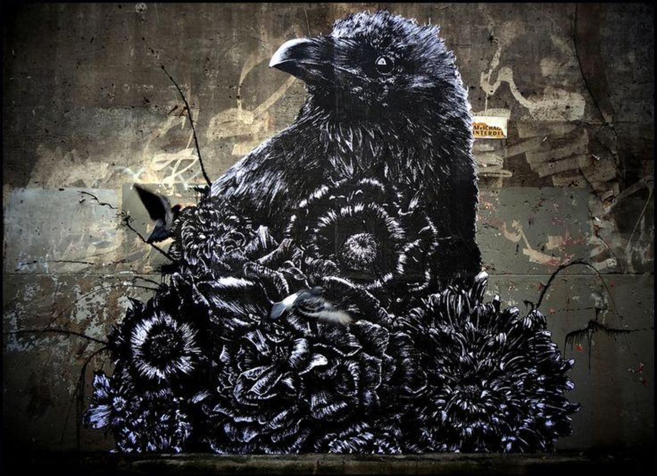 RT @5putnik1: The Crow  • #streetart #graffiti #art #crow #funky #dope . : http://t.co/dlJr4daMUt