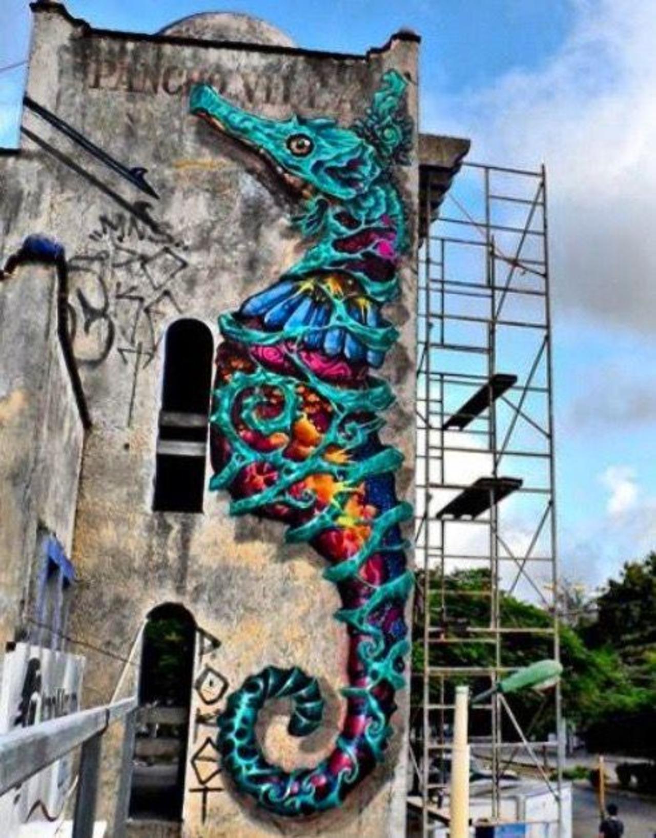 RT @5putnik1: Sea-Horse Time-Warp  • #streetart #graffiti #art #funky #dope . : http://t.co/YJN0YwELqY