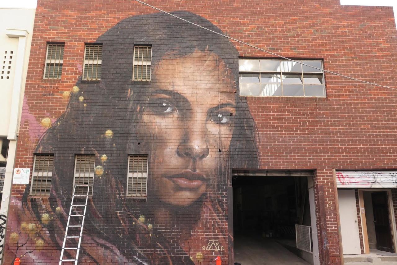 'Tyesha' a new mural by Camscale on the streets of Melbourne. #StreetArt #Graffiti #Mural http://t.co/RwHQVfsWYS