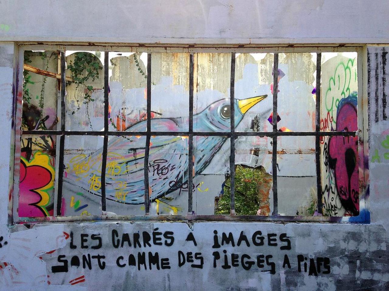 Street Art by Selor in #Bordeaux http://www.urbacolors.com #art #mural #graffiti #streetart https://t.co/XG0tbYtlQq
