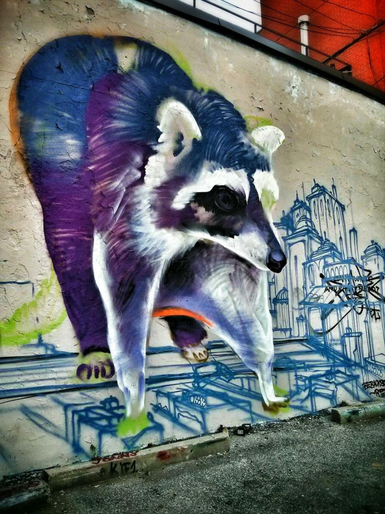WIP by Poser, Portland Street, Toronto.
#graffiti #streetart #urbanart http://t.co/DC4jD5sFCL