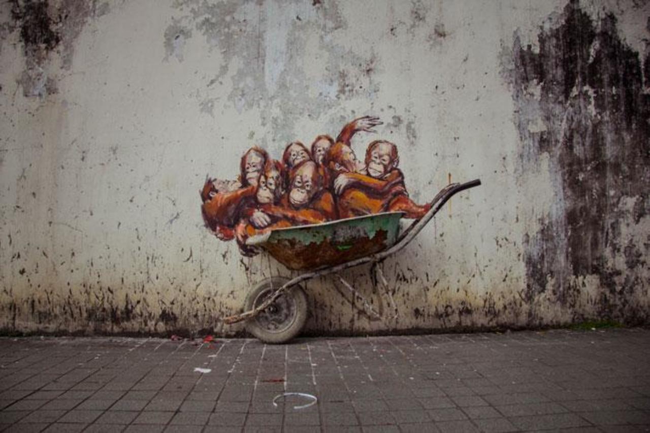 RT @streetartscout: RT @_street_art__ Orangutans in wheelbarrow aerosol graffiti #orangutans #streetart #graffiti #art http://t.co/HdyuqQyBjz