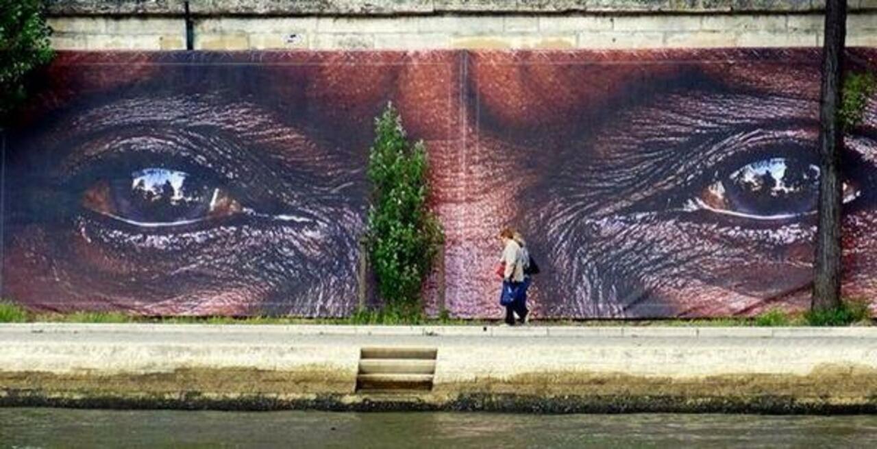 RT @streetartscout: Graffiti #mural by street artist #Reza in Paris, France #art #mural #streetart #graffiti #art via @shadowboxerinc http://t.co/aIi4GhZPN1
