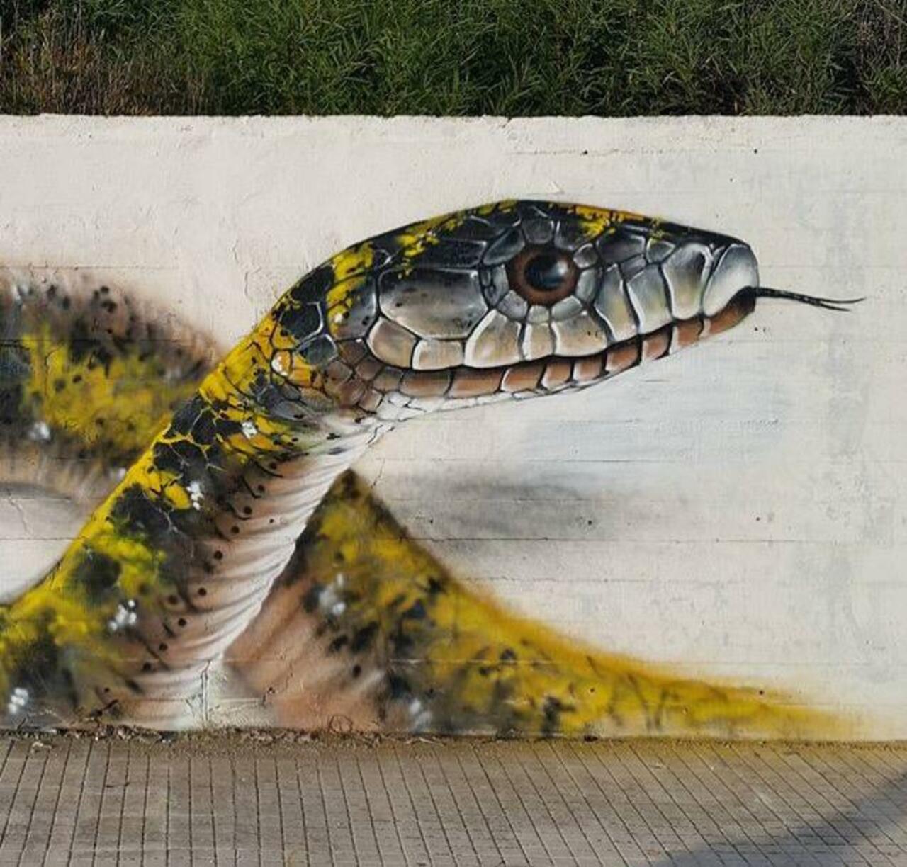 Street Art by Cosimocheone 

#art #graffiti #mural #streetart http://t.co/8Zw71hjeYK