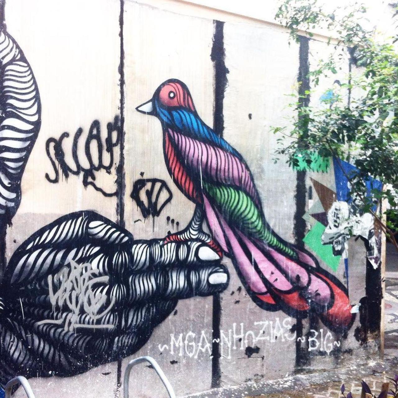 #arte #streetart #StreetArtRio #graffiti #bird #sonhos #art #instagraffiti #rj #riodejaneiro #wall #pels by danielp… http://t.co/5dP3NVL33I