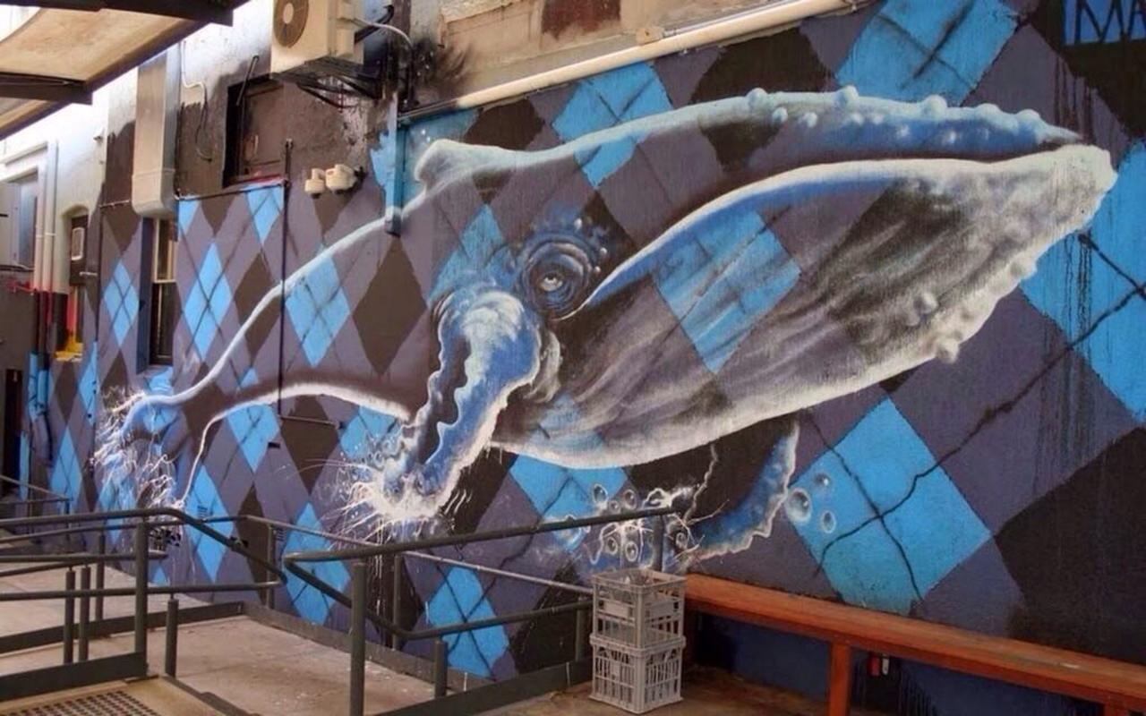 Artist Mike Makatron beautiful Nature in Street art piece, Australia #art #mural #graffiti #streetart http://t.co/JSlCIJ3Pjm