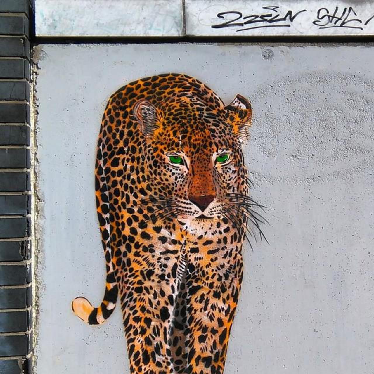 #Paris #graffiti photo by @streetarttourparis http://ift.tt/1jPl0Yv #StreetArt http://t.co/fKKS7wFLlW