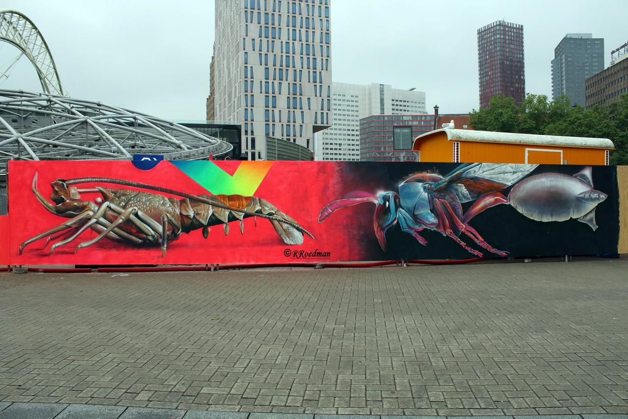 RT @RRoedman: #streetart #graffiti #murals more animals from #TelmoMiel in #Rotterdam, 4 pics at http://wallpaintss.blogspot.nl http://t.co/bB6a9UI6gZ