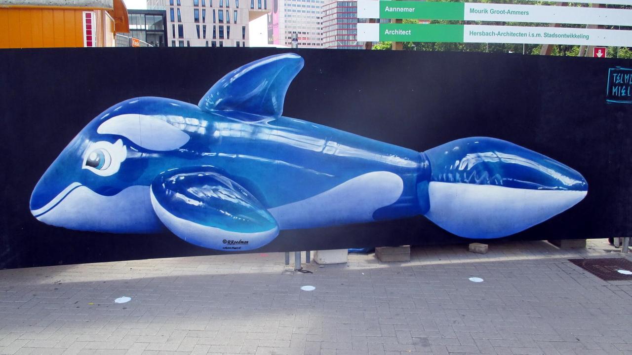 http://ift.tt/1LC4vWe RT RRoedman: #streetart #graffiti #murals nice dolphin in #Rotterdam from #TelmoMiel, 2 p… http://t.co/JAPkmNwNww