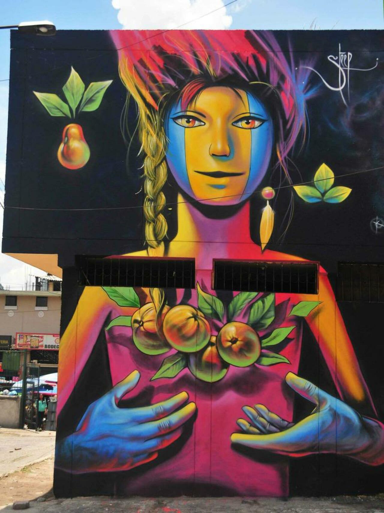 Street Art by Steep

#art #graffiti #mural #streetart http://t.co/VdIUQ2WWUX