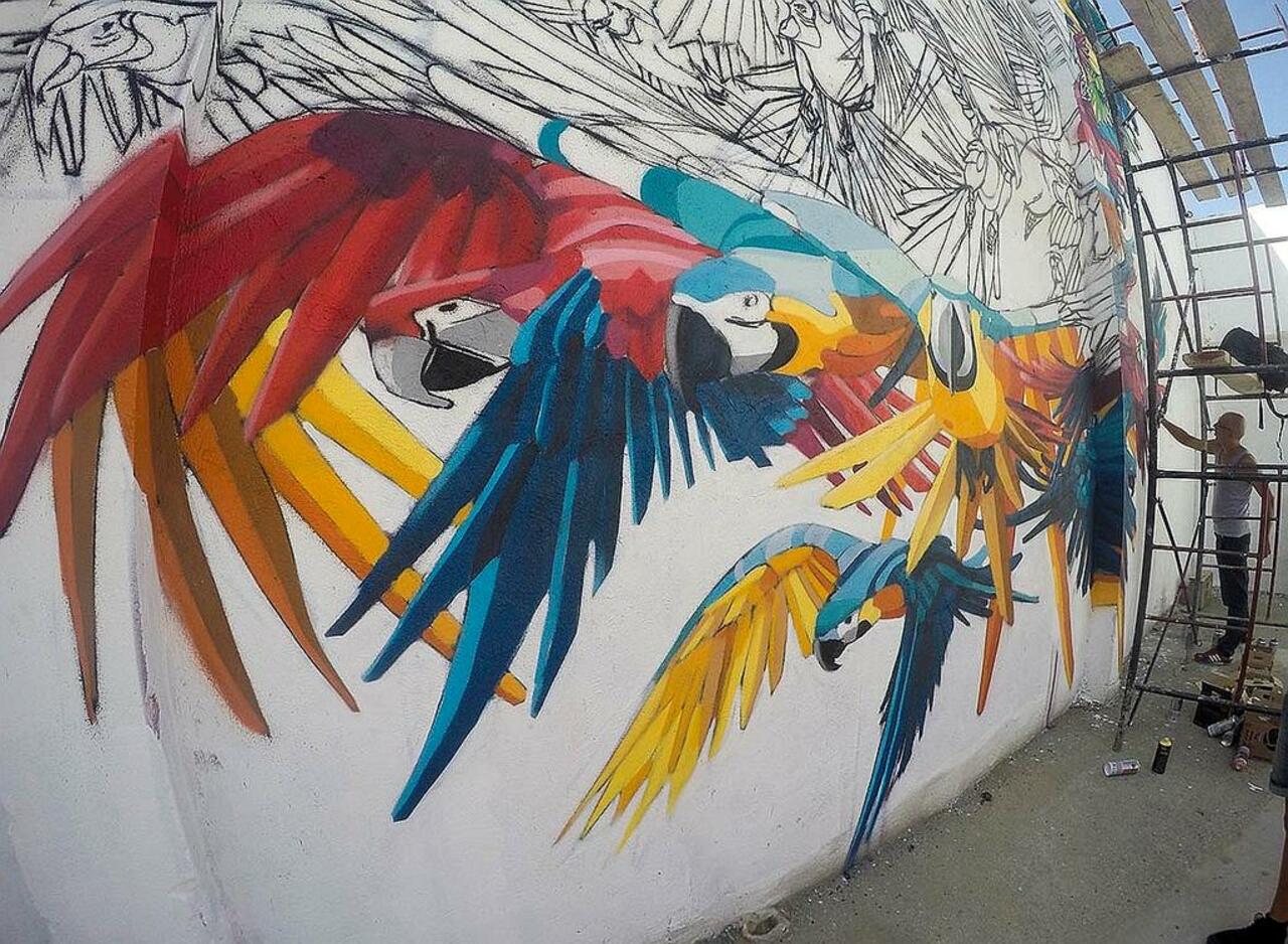 Street Art by Jaba in #Medellín http://www.urbacolors.com #art #mural #graffiti #streetart http://t.co/SwUI9wMnTd