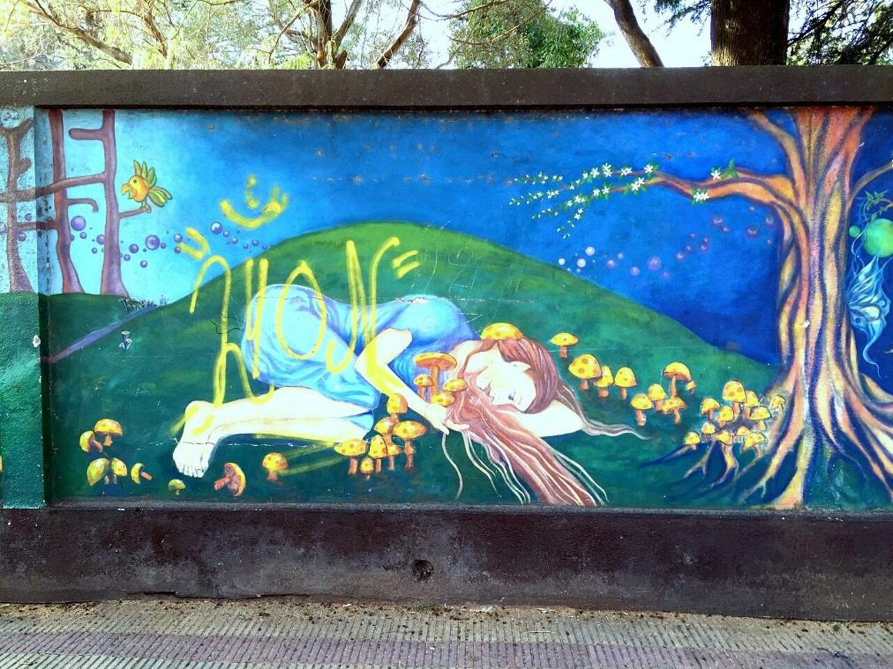 #Graffiti de hoy: < The sleeping beauty of the forest > calle 9, 66y67 #LaPlata #Argentina #StreetArt #UrbanArt http://t.co/hKn0Cm8Aj4