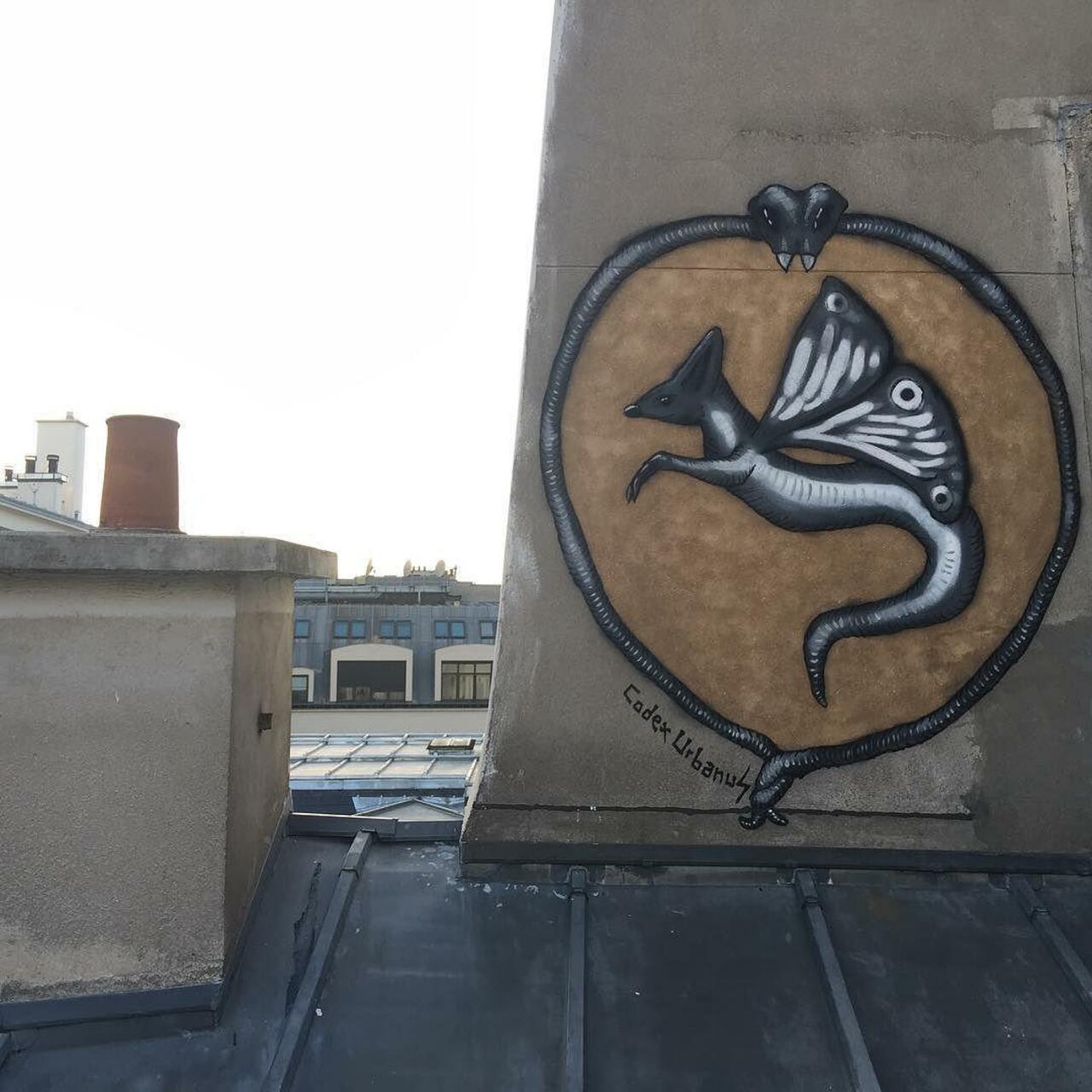 RT @circumjacent_fr: #Paris #graffiti photo by @codexurbanus http://ift.tt/1MrhLBT #StreetArt http://t.co/TsjhW9CgEj