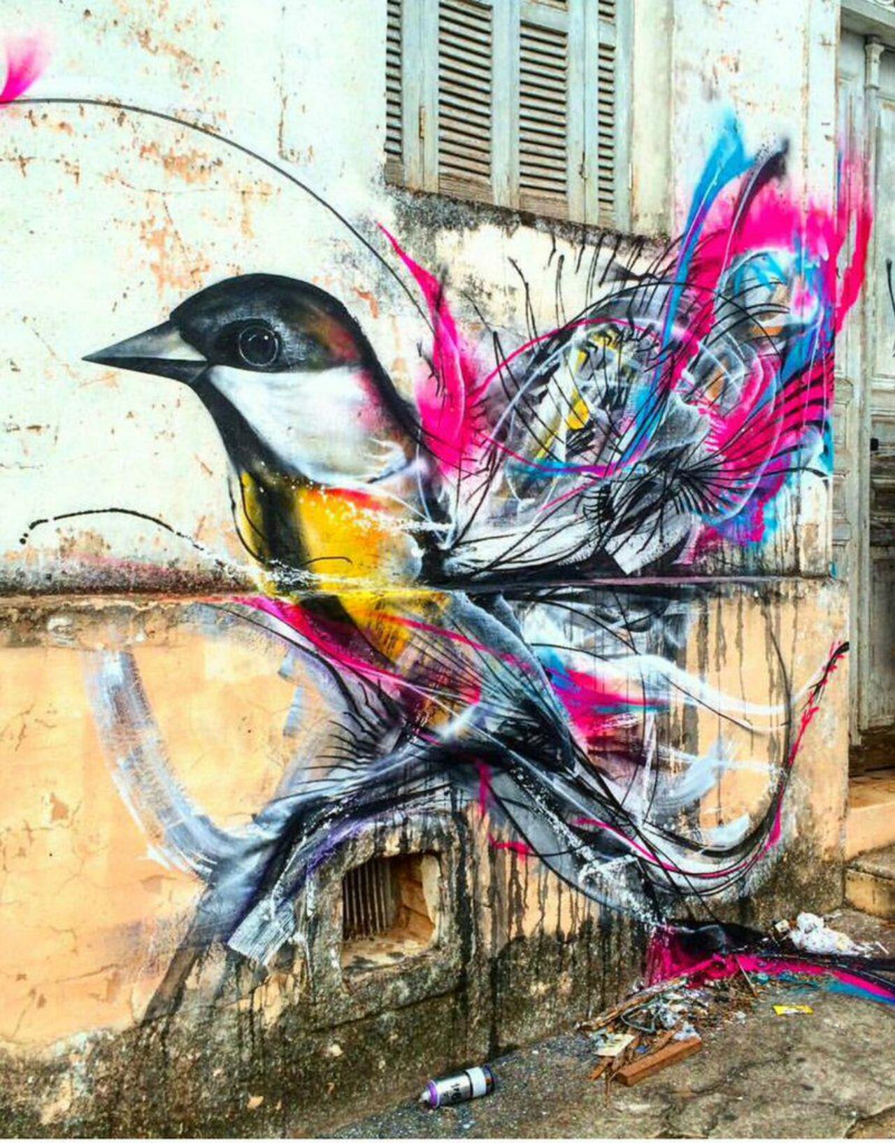 #art by #L7M #birds #hummingbird from #Brazil #graffiti #streetart #mural #cityscape #loveit on #instagram @l7matrix http://t.co/1vvMRMyfil