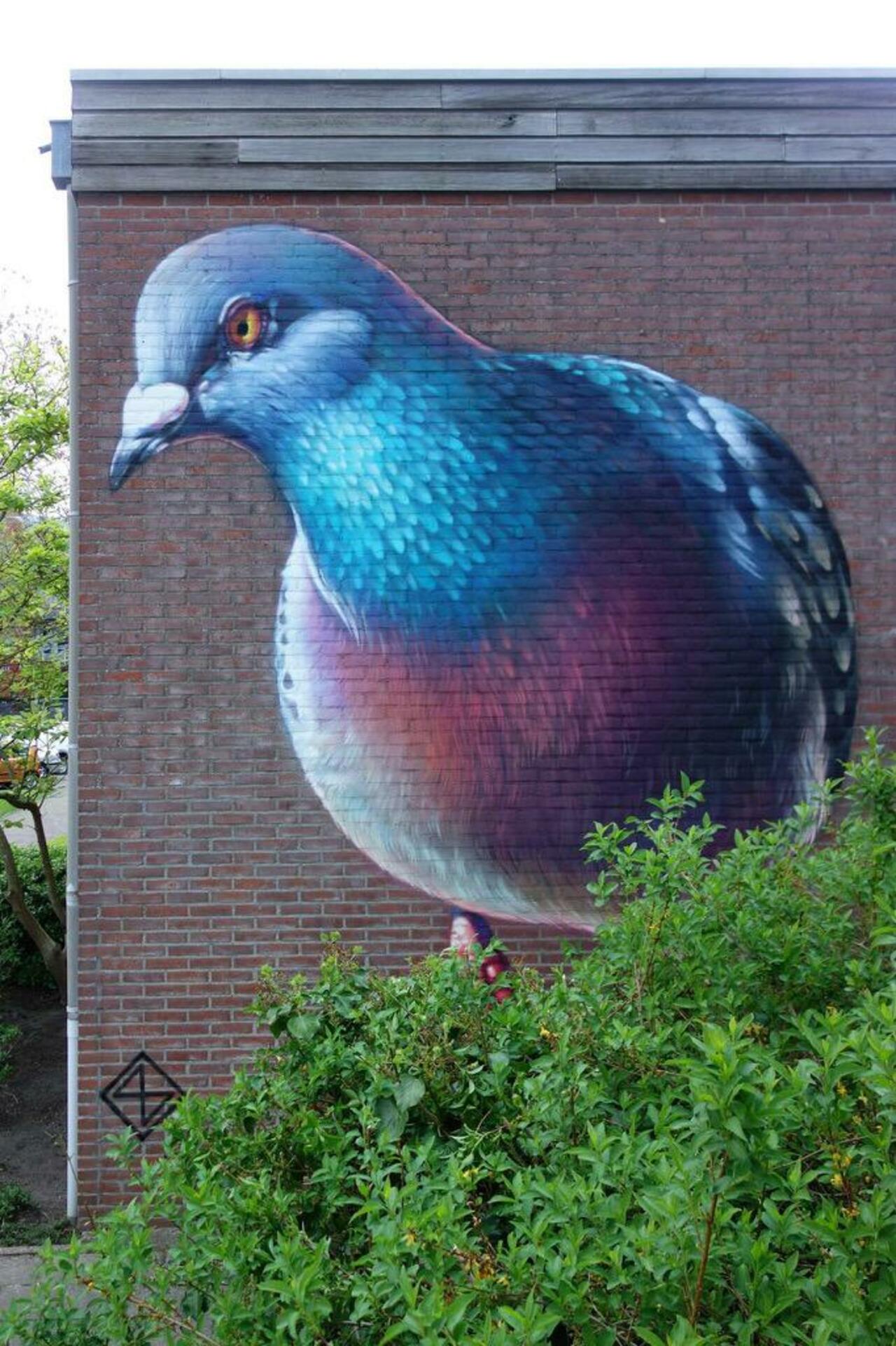 Cool! Street Art by Super A 

#art #graffiti #mural #streetart http://t.co/5NuiQJH2ey MT @GoogleStreetArt