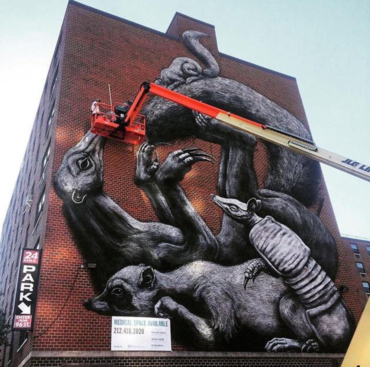 Street Art in progress by ROA in NYC

#art #graffiti #mural #streetart http://t.co/DVtCxmwFwm