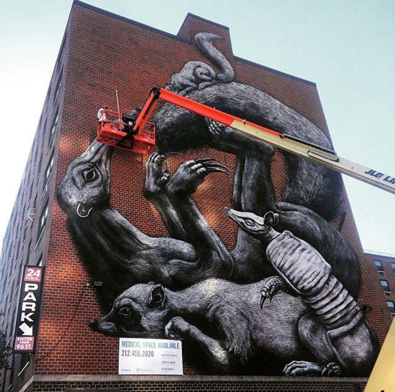 Street Art in progress by ROA in NYC

#art #graffiti #mural #streetart http://t.co/x92Witt3pH