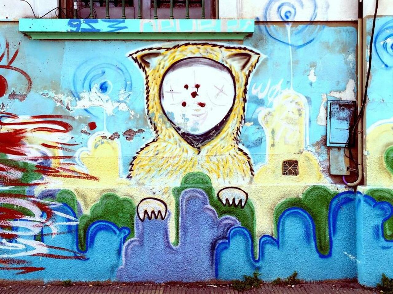 #Graffiti de hoy: << El disfraz de oso >> calle 66 8y9 #LaPlata #Argentina #StreetArt #UrbanArt #ArteUrbano http://t.co/n9ml1PTR4v