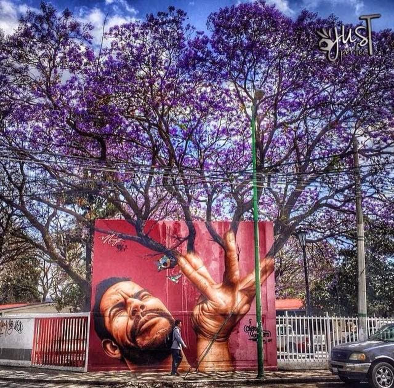RT @upbyartists: Street art in Mexico by Jose Luis Noriega
#streetart #illustrator #art #gallery #graffiti http://t.co/YbjWa33ptF