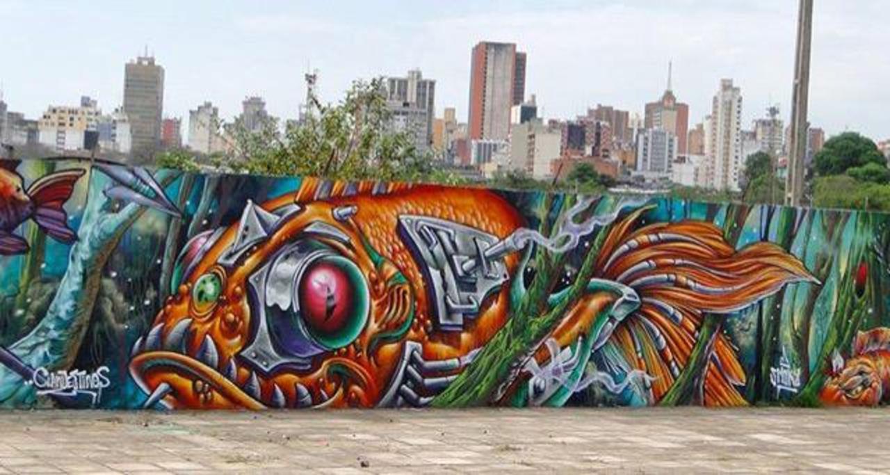 New Street Art by BrunoSmoky in Paraguay 

#art #graffiti #mural #streetart http://t.co/yvdl4dld5E