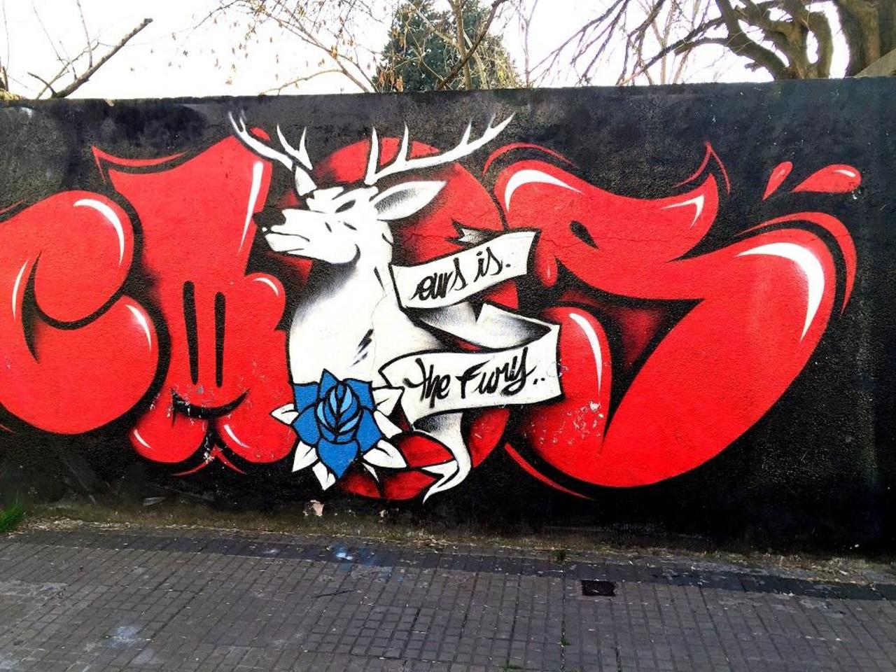 #Graffiti de hoy: << La cierva blanca de Borges >> calle 9 66y67 #LaPlata #Argentina #StreetArt #UrbanArt #ArteUrbano http://t.co/PW7kOqN8lk