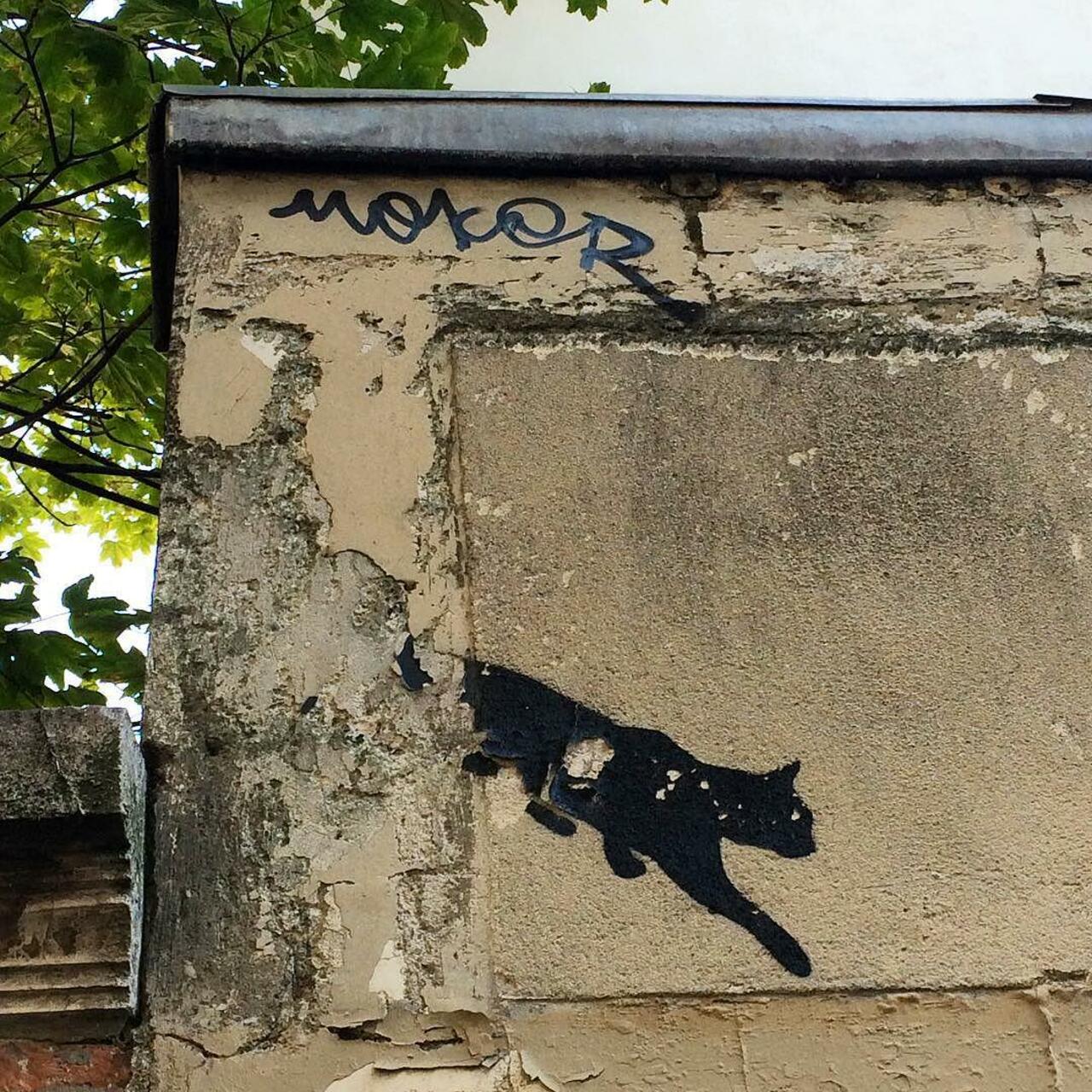 #Paris #graffiti photo by @benapix http://ift.tt/1VSTFQX #StreetArt http://t.co/RShrRY8rTj