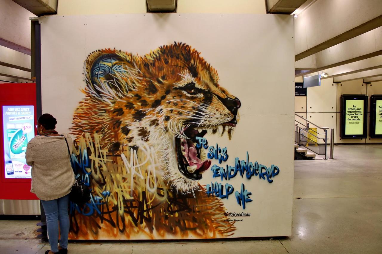 #streetart #graffiti #mural #cheetah in #Paris Gare du Nord ,2 pics at http://wallpaintss.blogspot.nl http://t.co/k0iVMlQVzl